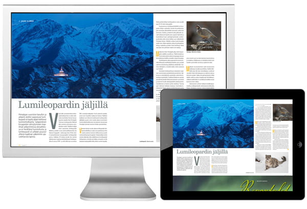 Digitaaliset julkaisut