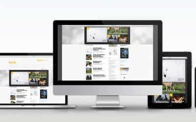 WordPress